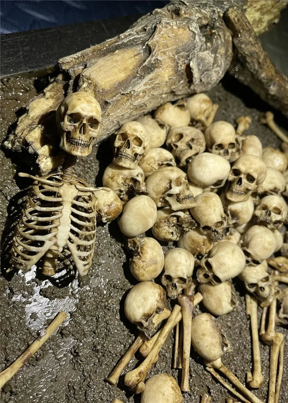 High Quality 1:12 Skeleton Miniatures Figurines Skull Miniature Model for Halloween Home Dollhouse Plant Fish Tank Decoration