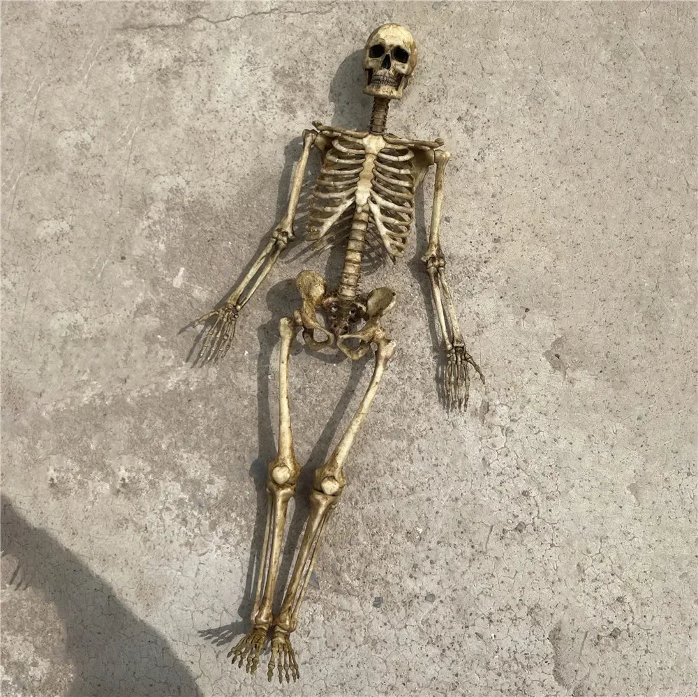 High Quality 1:12 Skeleton Miniatures Figurines Skull Miniature Model for Halloween Home Dollhouse Plant Fish Tank Decoration