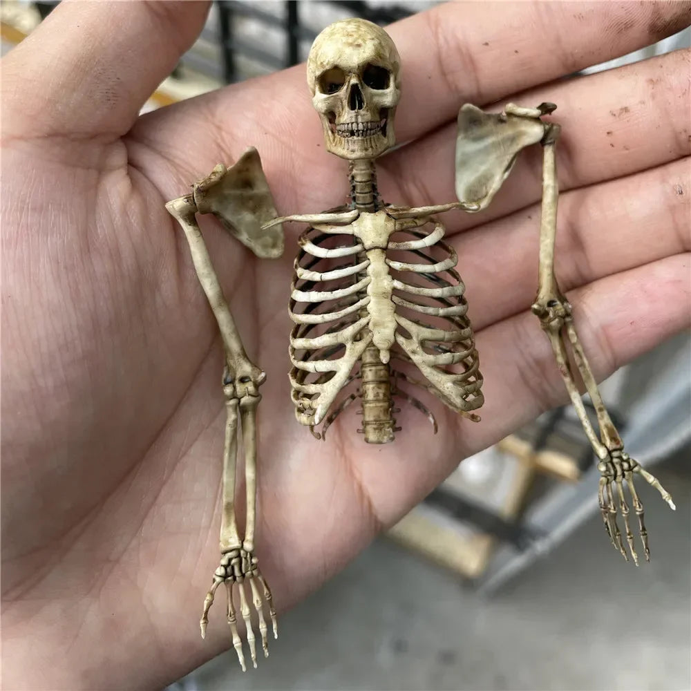 High Quality 1:12 Skeleton Miniatures Figurines Skull Miniature Model for Halloween Home Dollhouse Plant Fish Tank Decoration