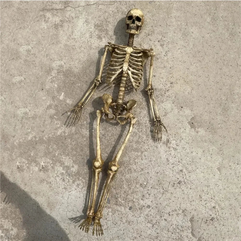 High Quality 1:12 Skeleton Miniatures Figurines Skull Miniature Model for Halloween Home Dollhouse Plant Fish Tank Decoration