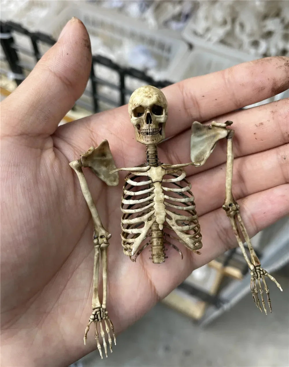 High Quality 1:12 Skeleton Miniatures Figurines Skull Miniature Model for Halloween Home Dollhouse Plant Fish Tank Decoration