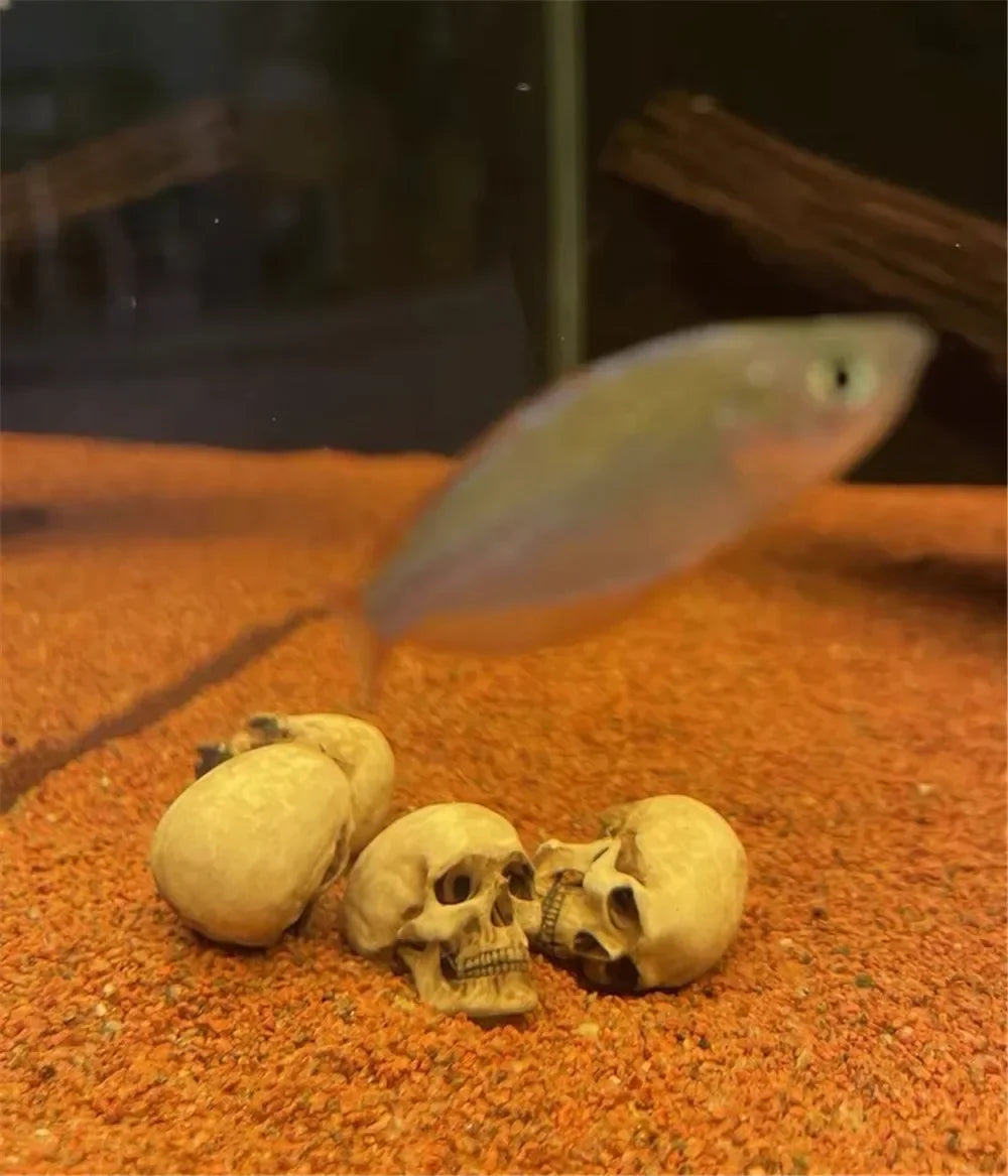 High Quality 1:12 Skeleton Miniatures Figurines Skull Miniature Model for Halloween Home Dollhouse Plant Fish Tank Decoration