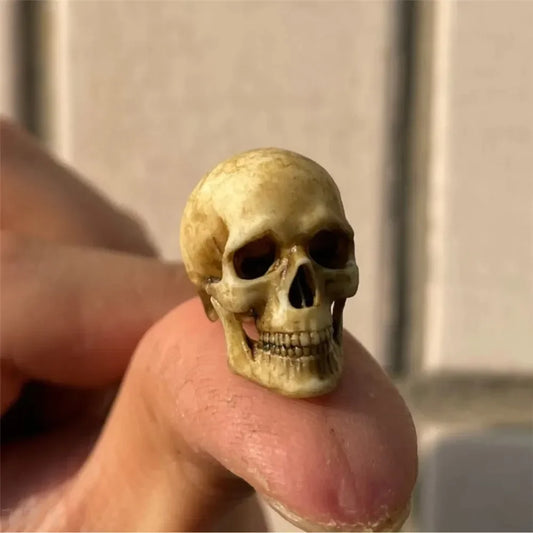 High Quality 1:12 Skeleton Miniatures Figurines Skull Miniature Model for Halloween Home Dollhouse Plant Fish Tank Decoration