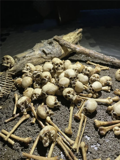 High Quality 1:12 Skeleton Miniatures Figurines Skull Miniature Model for Halloween Home Dollhouse Plant Fish Tank Decoration